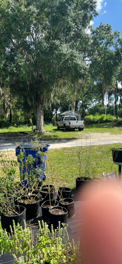 100 x 100 Unpaved Lot in Avon Park, Florida near [object Object]