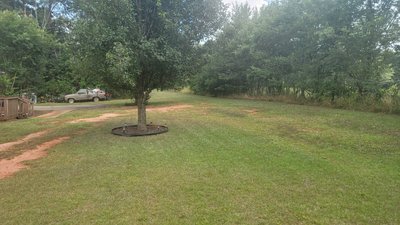 undefined x undefined Unpaved Lot in Wellford, South Carolina