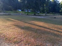 50 x 10 Unpaved Lot in , Texas