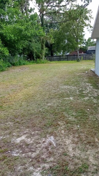 36 x 80 Unpaved Lot in Spring Hill, Florida near [object Object]