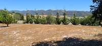 50 x 10 Unpaved Lot in Arroyo Grande, California