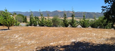 33 x 10 Unpaved Lot in Arroyo Grande, California near [object Object]