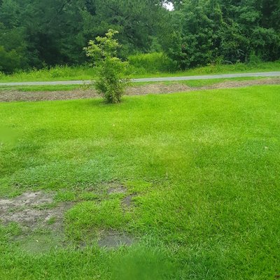 undefined x undefined Unpaved Lot in Columbia, North Carolina