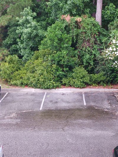 undefined x undefined Parking Lot in Wilmington, North Carolina