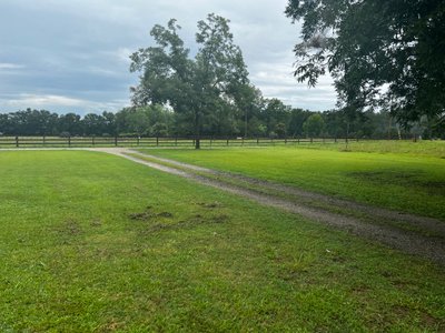 undefined x undefined Unpaved Lot in Galivants Ferry, South Carolina