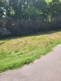 425 x 100 Unpaved Lot in Nashville, Tennessee