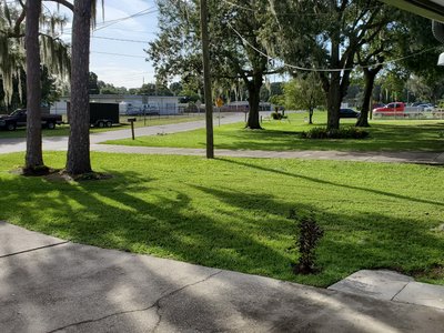 45 x 50 Unpaved Lot in Mulberry, Florida near [object Object]