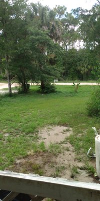 30 x 30 Unpaved Lot in Satsuma, Florida