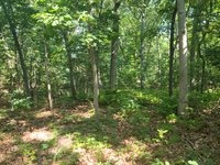 200 x 75 Unpaved Lot in Northport, New York