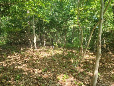 undefined x undefined Unpaved Lot in Northport, New York