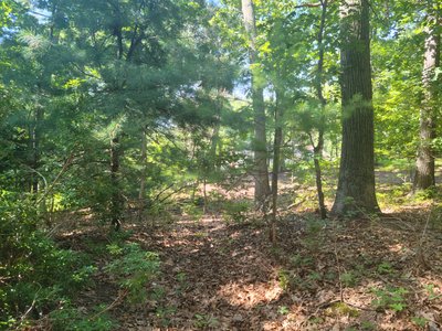 200 x 75 Unpaved Lot in Northport, New York near [object Object]