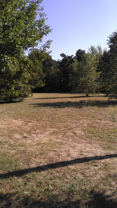 40 x 15 Unpaved Lot in Holland, Michigan
