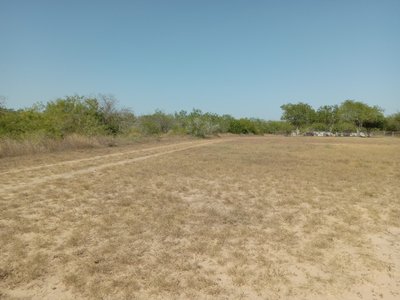 45 x 15 Unpaved Lot in Alice, Texas