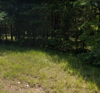 40 x 15 Unpaved Lot in Dickson, Tennessee