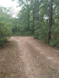 60 x 60 Unpaved Lot in Mountain View, Missouri