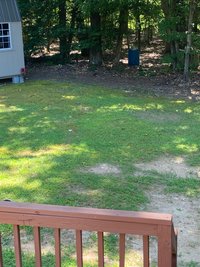 50 x 10 Unpaved Lot in Amelia Court House, Virginia