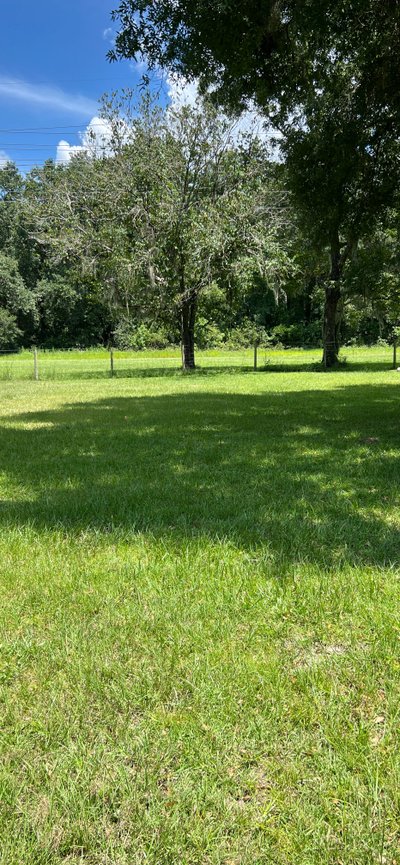 30 x 50 Unpaved Lot in Gainesville, Florida near [object Object]