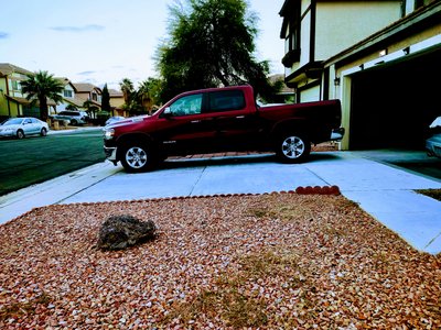 24 x 15 Driveway in Las Vegas, Nevada near [object Object]
