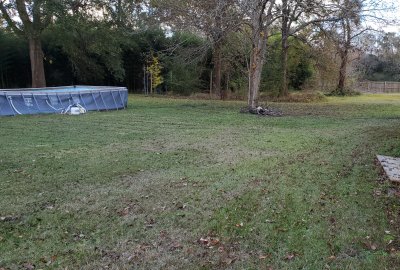 20 x 10 Unpaved Lot in Saint Francisville, Louisiana near [object Object]