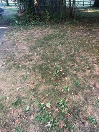 12 x 11 Unpaved Lot in Paramus, New Jersey