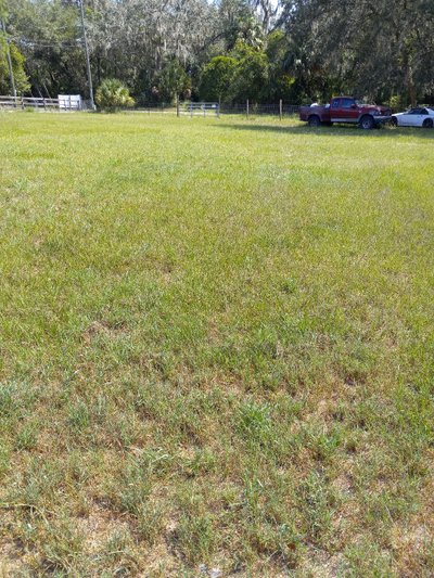 10 x 20 Unpaved Lot in Plant City, Florida