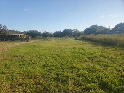 30 x 12 Unpaved Lot in Lithia, Florida