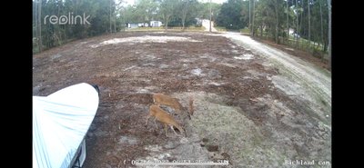 34 x 15 Unpaved Lot in Wesley Chapel, Florida