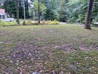 30 x 12 Unpaved Lot in Colchester, Connecticut