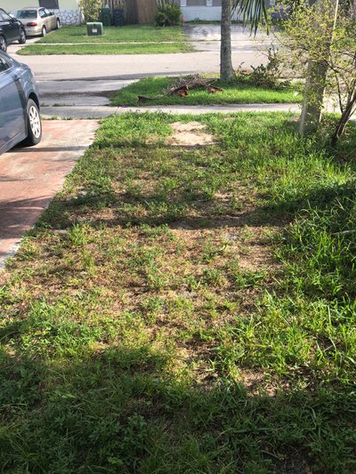20 x 12 Unpaved Lot in West Palm Beach, Florida
