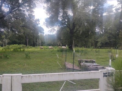40 x 10 Unpaved Lot in Live Oak, Florida near [object Object]