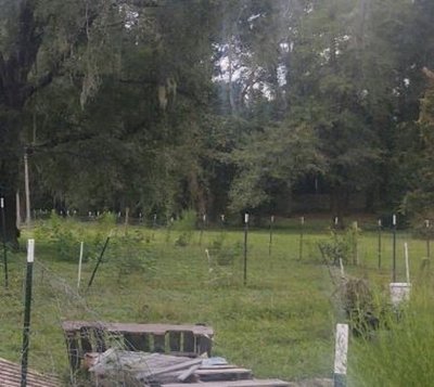 undefined x undefined Unpaved Lot in Live Oak, Florida