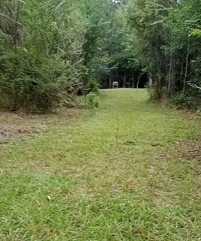 15 x 15 Unpaved Lot in Greenville, Alabama