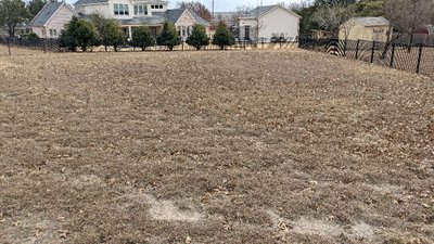 20 x 20 Unpaved Lot in Frisco, Texas