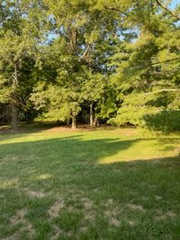 20 x 20 Unpaved Lot in Mt Laurel Township, New Jersey