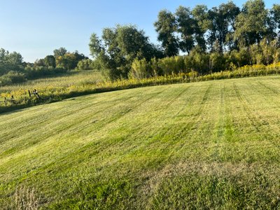 20×20 Unpaved Lot in Forest Lake, Minnesota