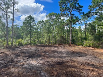 undefined x undefined Unpaved Lot in Lake Placid, Florida