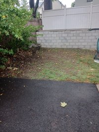14 x 11 Driveway in Rutherford, New Jersey