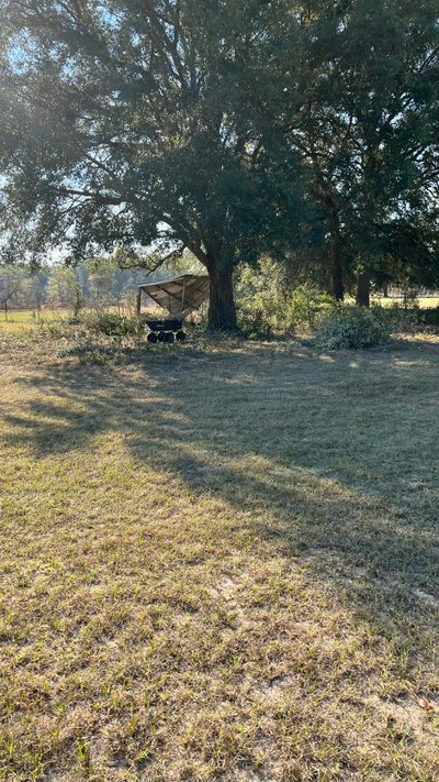 25 x 15 Unpaved Lot in Chipley, Florida