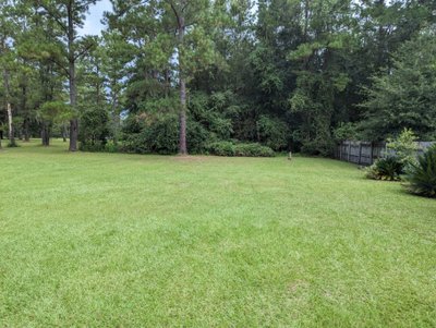 30 x 20 Unpaved Lot in Gainesville, Florida