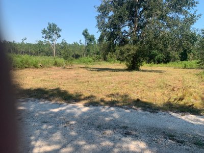 20 x 15 Unpaved Lot in Robertsdale, Alabama