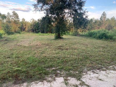 undefined x undefined Unpaved Lot in Robertsdale, Alabama