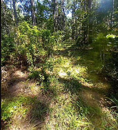 undefined x undefined Unpaved Lot in Braxton, Mississippi