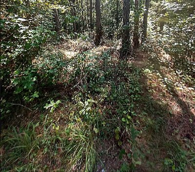 undefined x undefined Unpaved Lot in Braxton, Mississippi