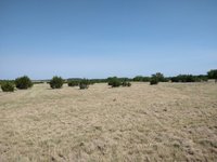40 x 10 Unpaved Lot in Iredell, Texas