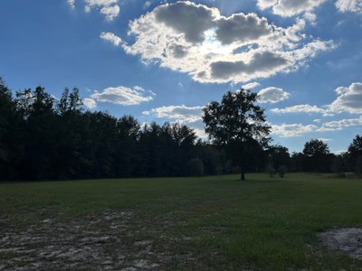 59 x 10 Unpaved Lot in Mayo, Florida