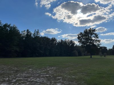 50 x 10 Unpaved Lot in Mayo, Florida