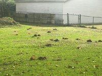 30 x 12 Unpaved Lot in Goose Creek, South Carolina