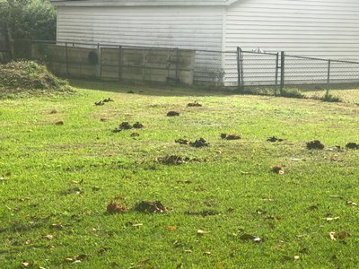 Medium 10×30 Unpaved Lot in Goose Creek, South Carolina