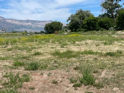 undefined x undefined Unpaved Lot in Plain City, Utah