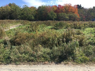 undefined x undefined Unpaved Lot in Ellsworth, Maine